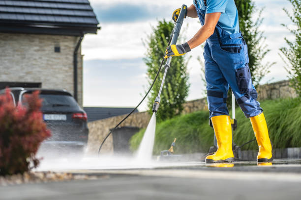 Animal Enclosure Cleaning in Pelican Bay, FL